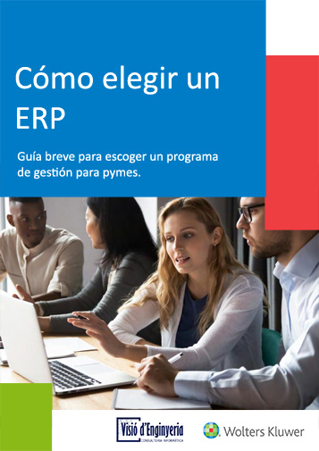 ebook-como-elegir-un-erp